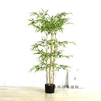uploads/erp/collection/images/Home Garden/dgjiawang/XU0612804/img_b/XU0612804_img_b_3